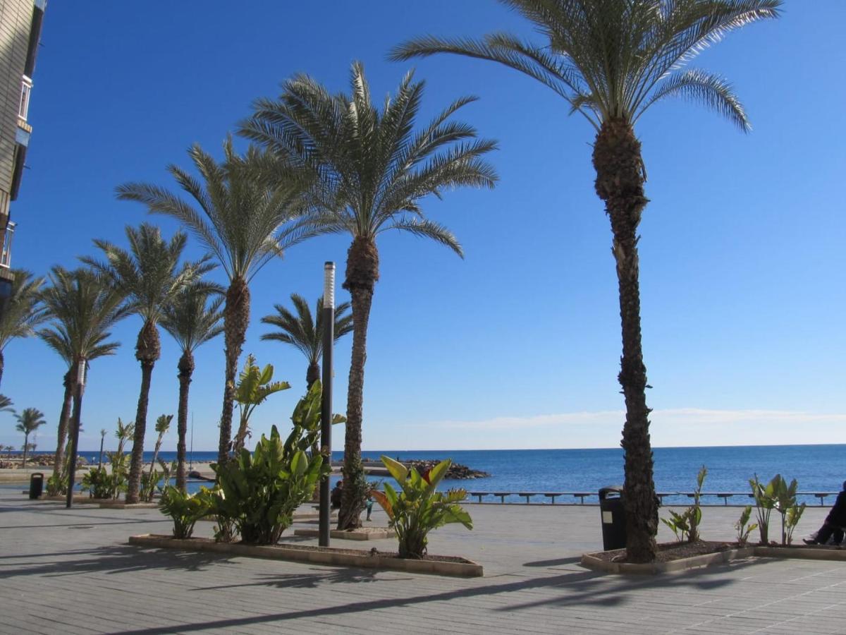 Tango Mango Apartment! Plaza 5 Min, Basen! Torrevieja Ngoại thất bức ảnh
